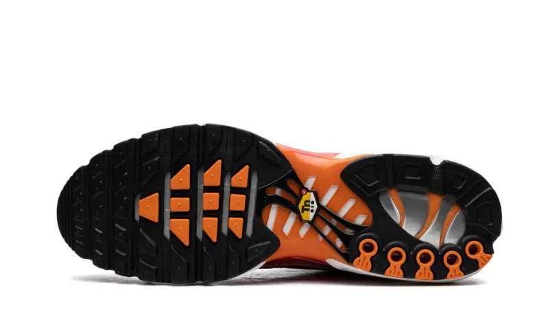 Nike Air Max Air Max Plus 'Light Photography - Sport Red'